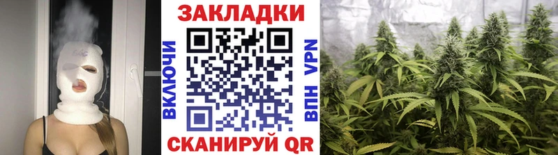Где купить Сокол Галлюциногенные грибы A PVP ТГК Гашиш Меф мяу мяу