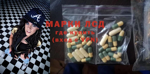 прущие грибы Абдулино