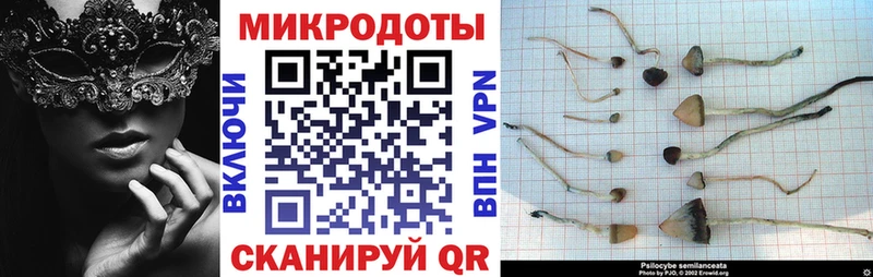 Галлюциногенные грибы Magic Shrooms  Сокол 