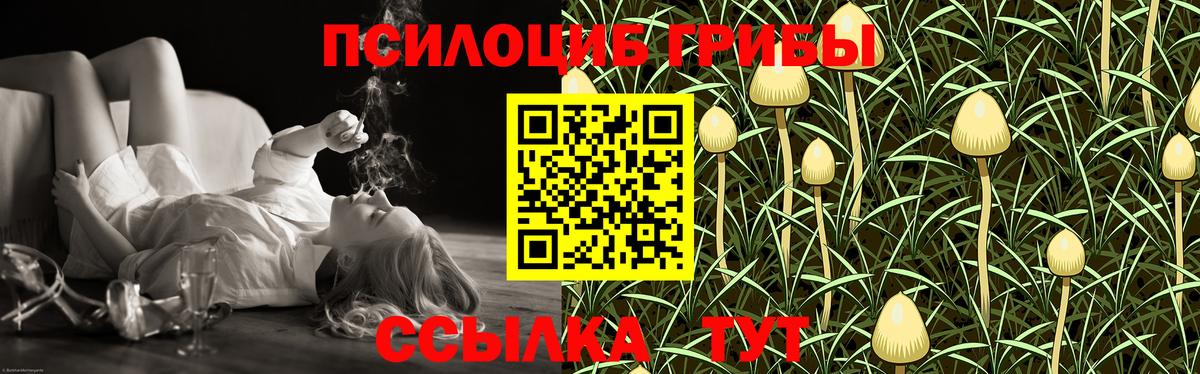 Псилоцибиновые грибы Cubensis  Вход с VPN  Сокол 